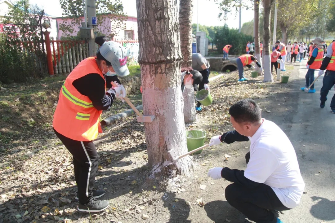 【贯彻落实区党代会精神】区交通运输事务服务中心：提高公路管养水平 推动...