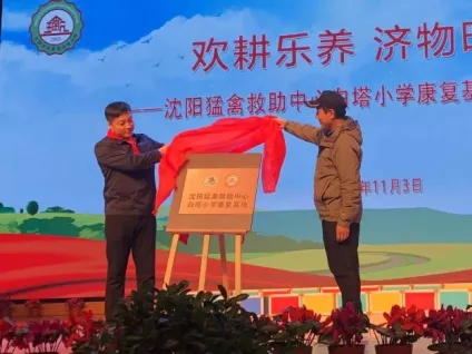 团省委少年部到我区调研少先队工作