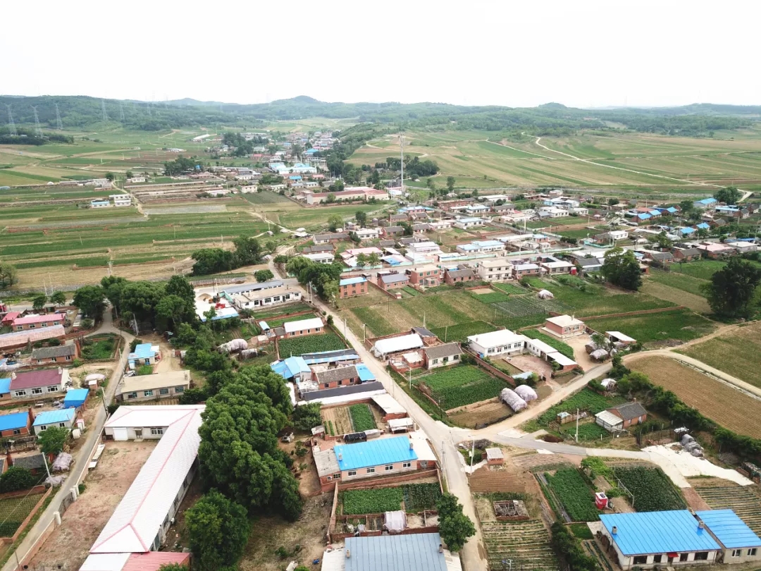 【冲刺东北“第一区”】李相街道：全力打造经济繁荣、环境优美、管理民主、...