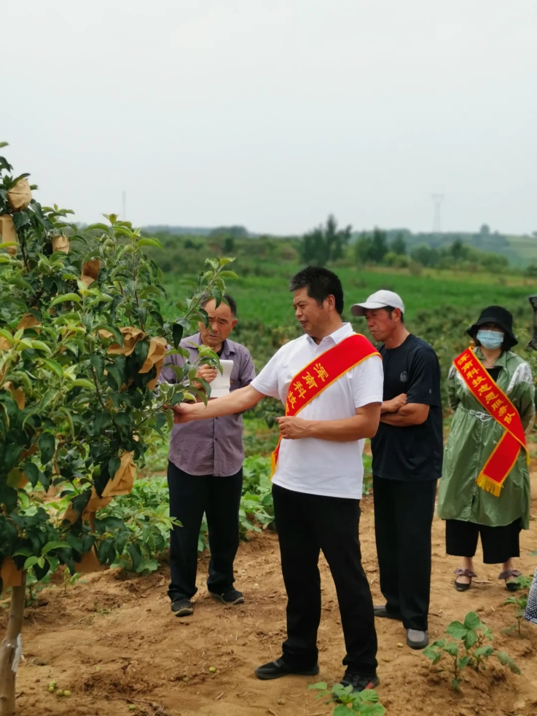 【贯彻落实市党代会精神】区科协：聚焦高质量发展 扎实推进科技创新
