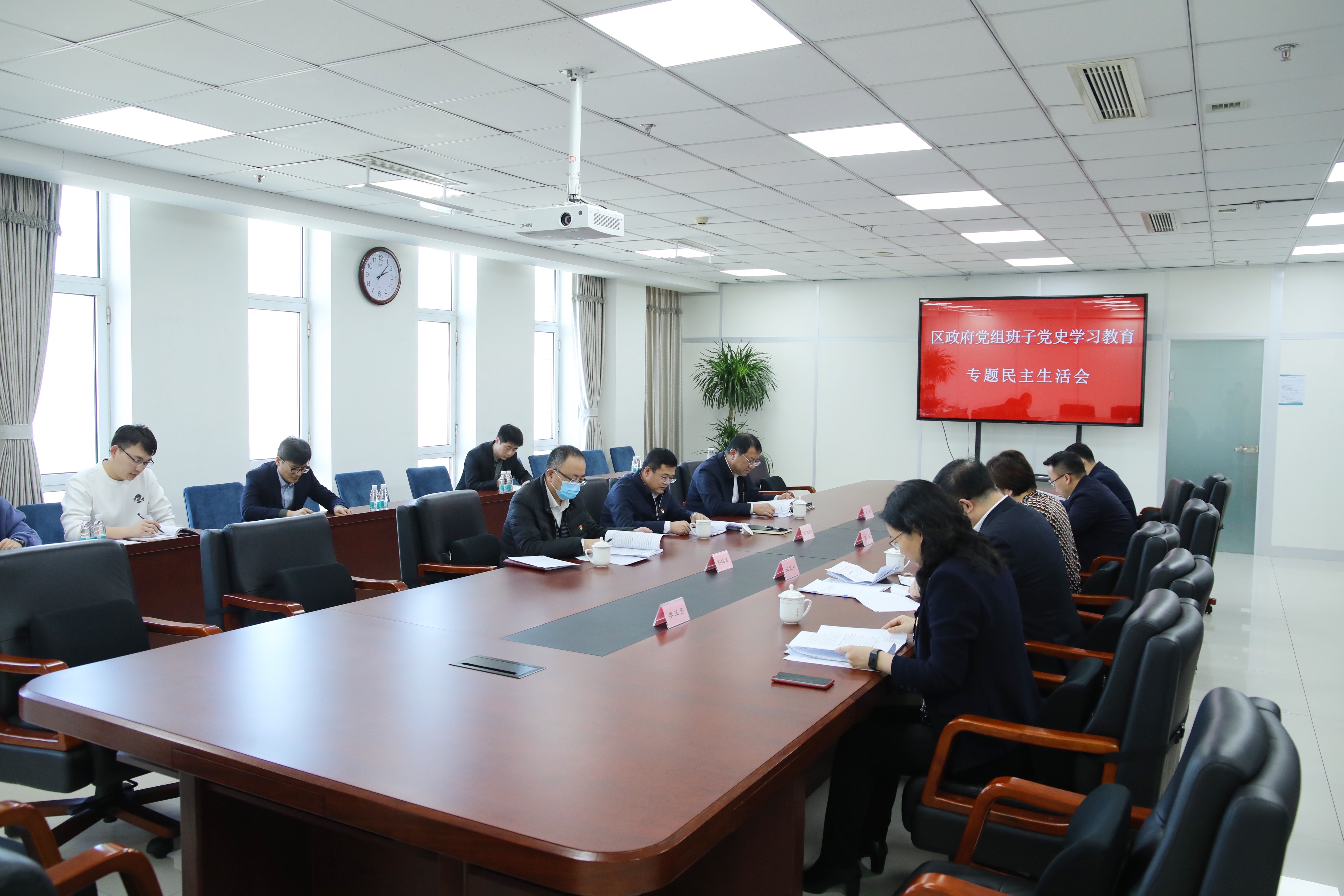 区政府党组班子召开党史学习教育专题民主生活会