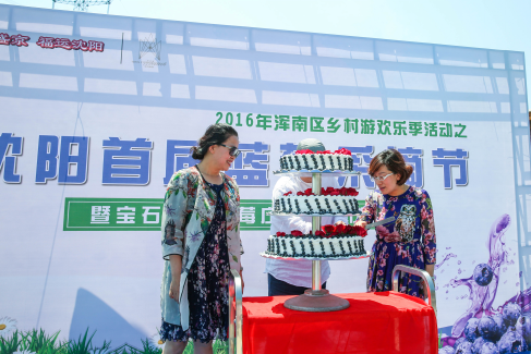 浑南区举办沈阳首届蓝莓采摘节 全力打造庄园综合体