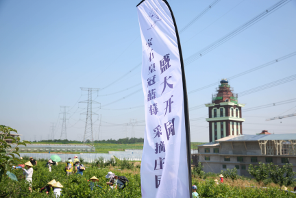 浑南区大力发展庄园综合体打造乡村旅游新引擎