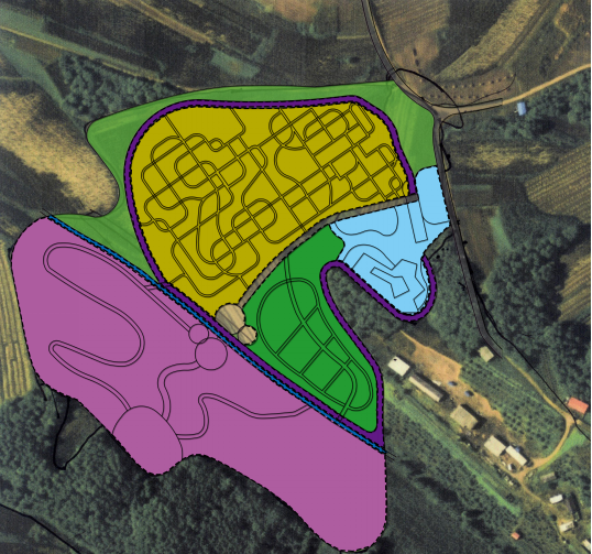 东北地区最大“向日葵迷宫”落户浑南