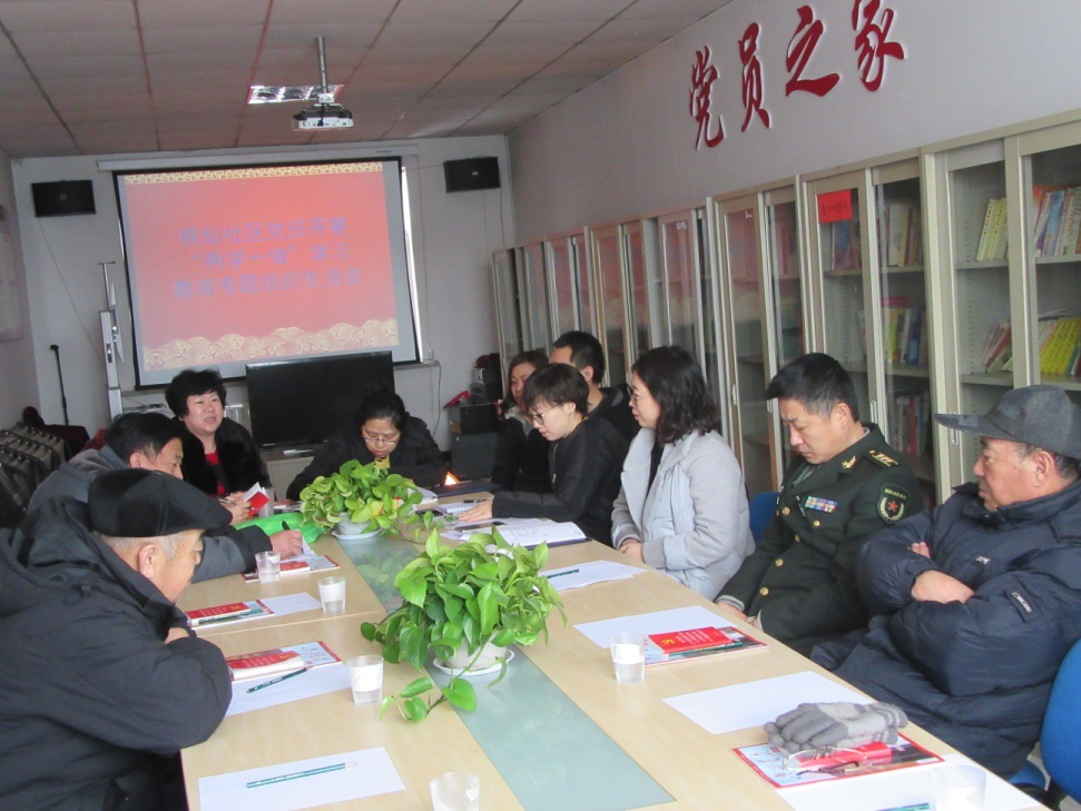 桃仙社区开展“两学一做”学习教育专题组织生活会