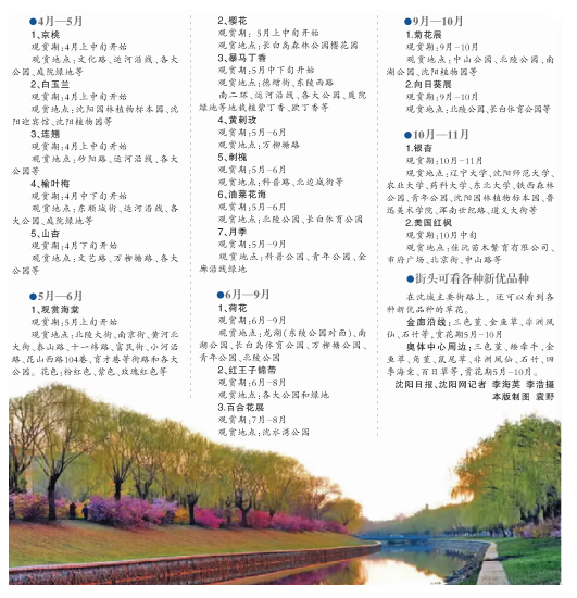 2017沈城赏花图看这里