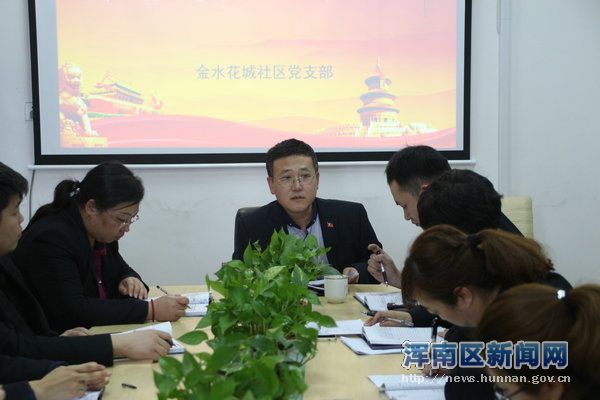 金水花城社区党支部召开“两学一做”组织生活会及民主评议会