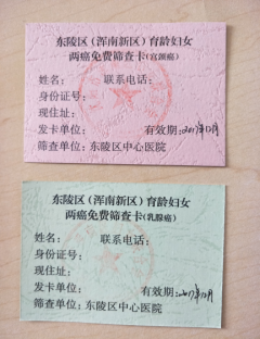 区妇联开展两癌筛查活动