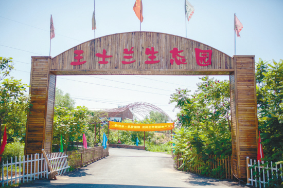 生态旅游+休闲农业　王士兰村“花千谷”