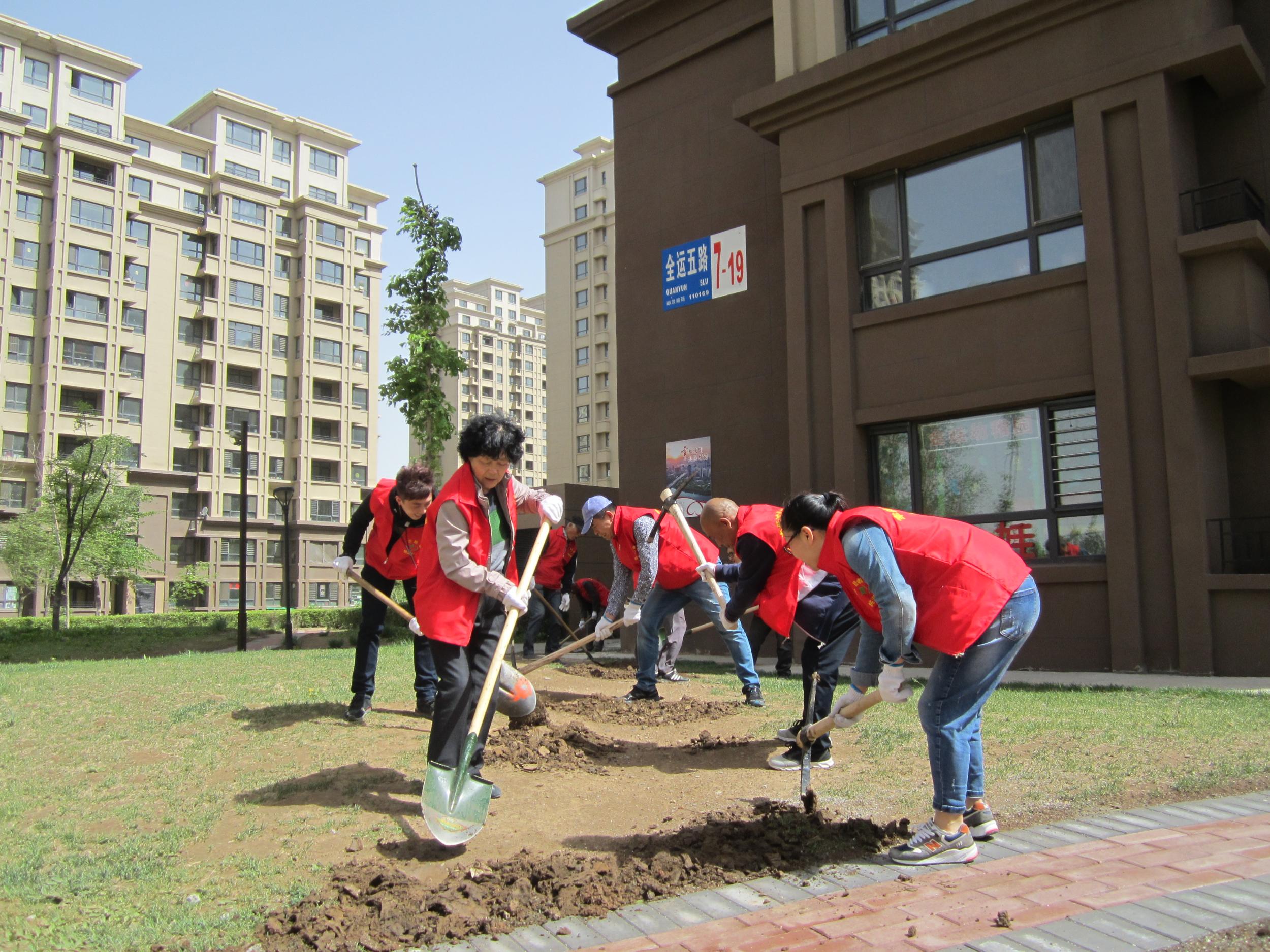 桃源社区大党委组织党员居民志愿者修复破损草坪