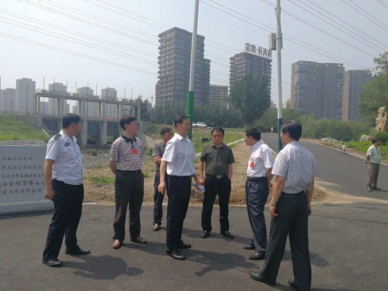 浑南区人大、政协领导视察张官河口人行桥