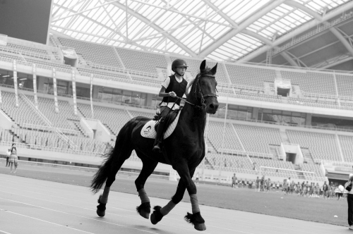 沈阳市首届市民运动会暨沈阳市第十四届运动会今日开幕