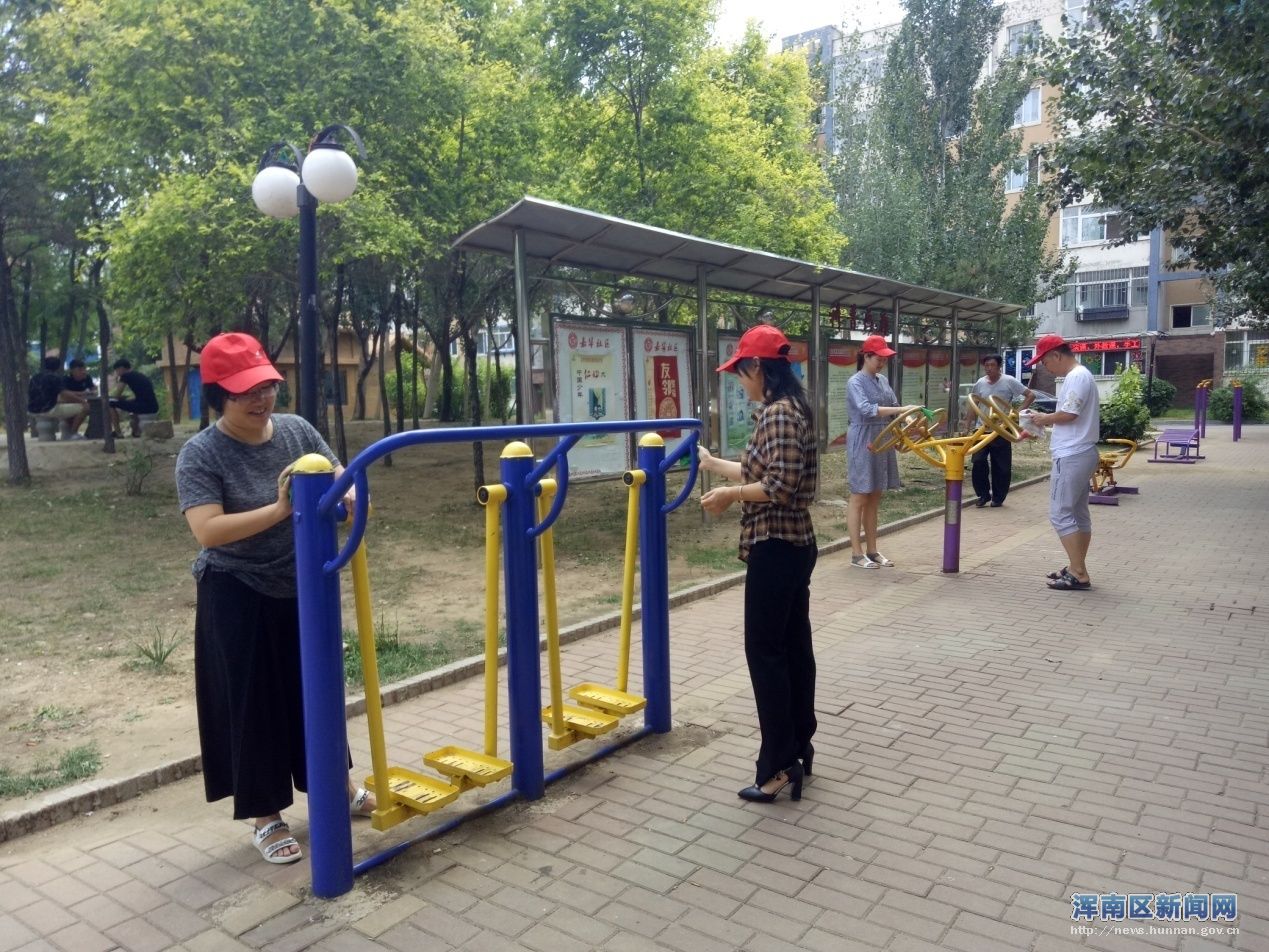 嘉华社区开展“清洁沈阳 党员志愿者在行动”活动