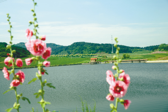 魏家沟村，沈阳东南山区的世外桃源——位于辽宁省沈阳市浑南区东南山区