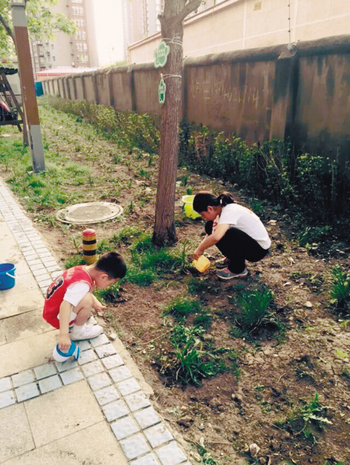 浑南现代商贸区彩霞社区——社区咋“捯饬”居民说了算