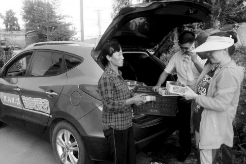 滞销树莓在沈晚一亮相就变成了俏货