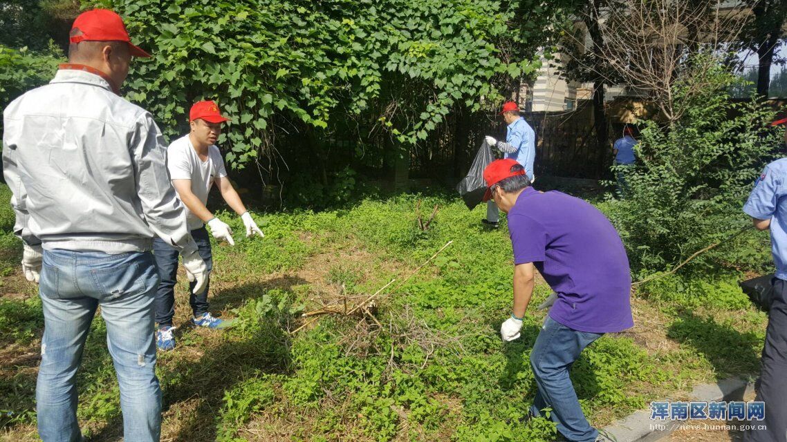 在水一方社区党员志愿者 助力创城百日攻坚