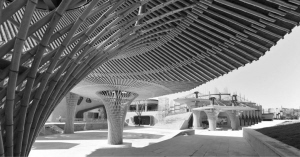 “熊猫F4”本月27日在沈卖萌