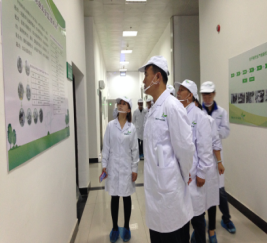 浑南区区委副书记刘欣到中央厨房调研指导