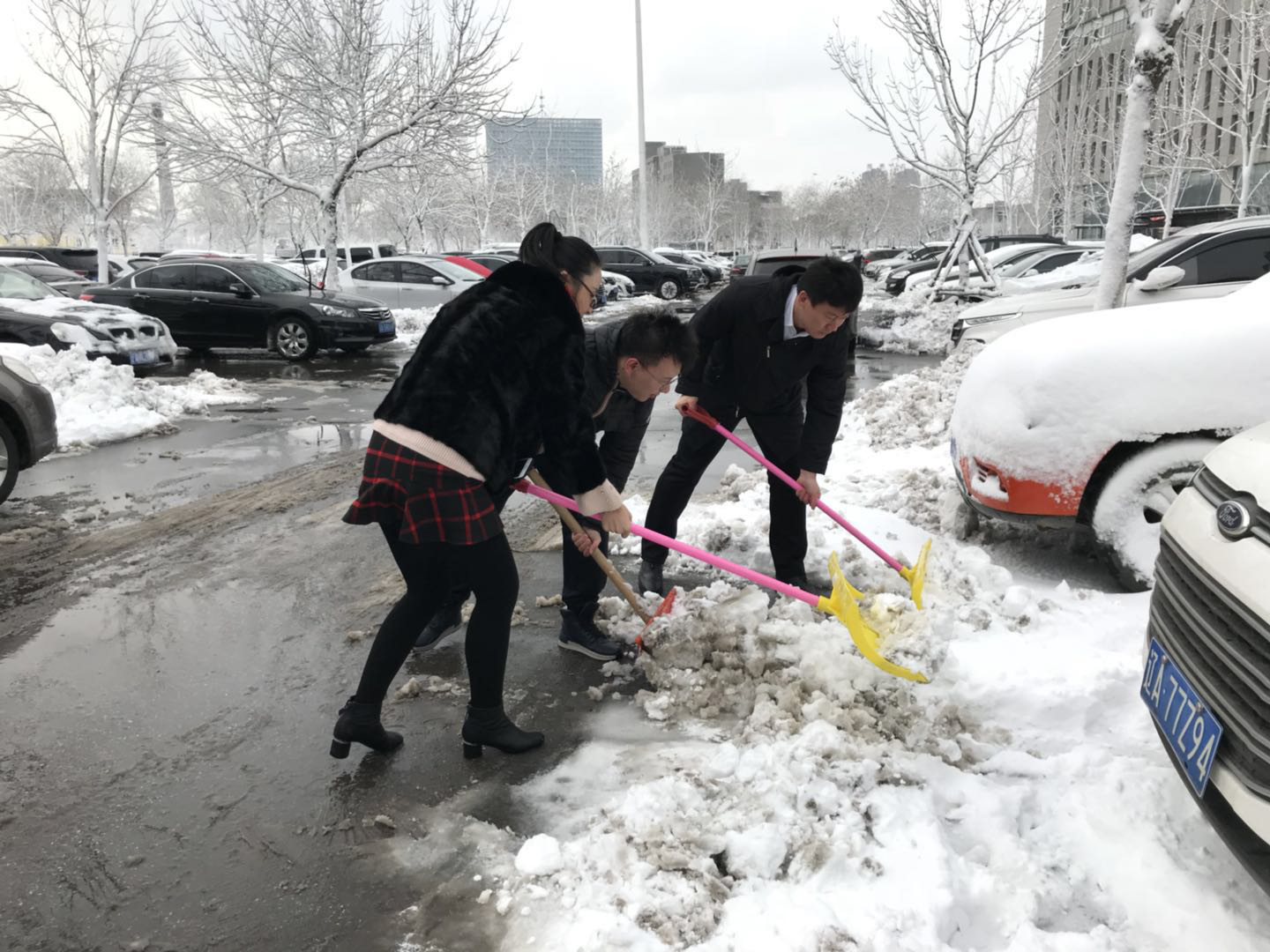 浑南区各级团组织以“马上办”“钉钉子”精神紧急开展除雪行动