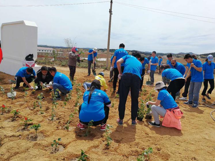 王滨街道各级团组织配合民革浑南区支部开展三城联创栽花活动