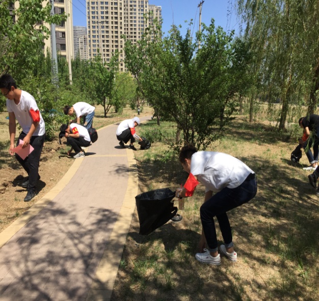 五三街道金地社区团支部联合沈阳建筑大学土木工程学院开展“志愿服务在金地...