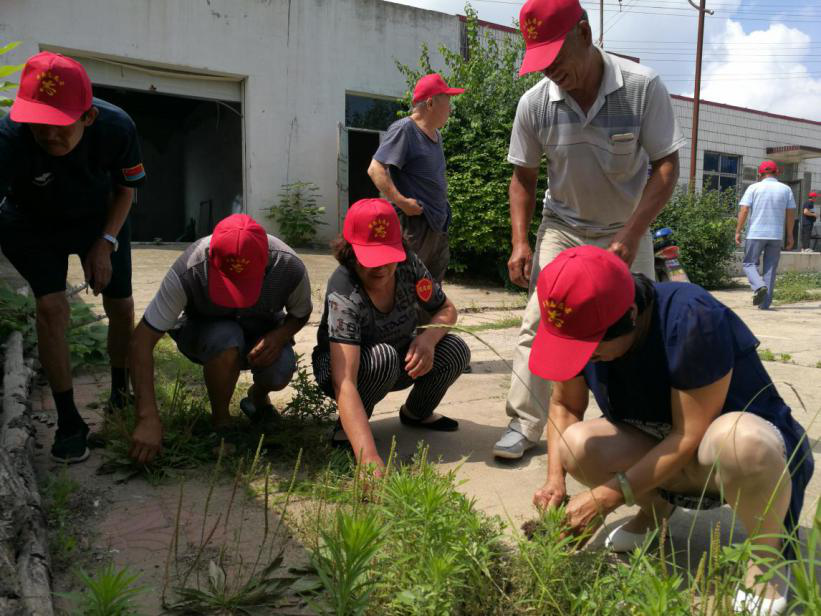 李相社区党支部开展“三城联创我奉献”主题党日志愿服务活动