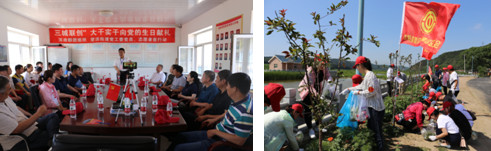 浑南群团组织开展“在职党员义务服务周”助力“三城联创”活动