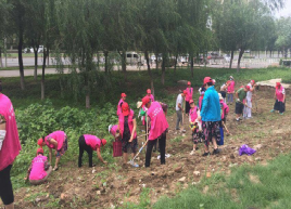 最美志愿者播种新希望