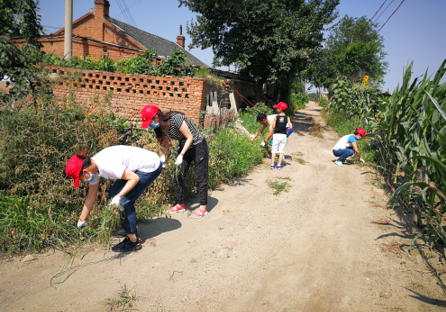 群团各部门积极参加“机关党员勇担当助力城中村创城”主题志愿服务活动