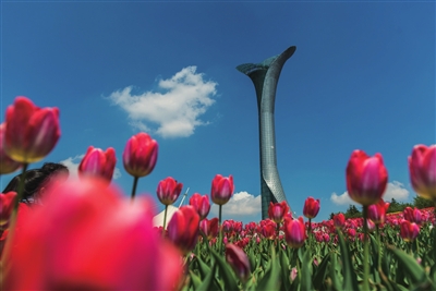 清风满韵 夏凉沈阳——棋盘山风景区、沈阳国家森林公园、浑河两岸