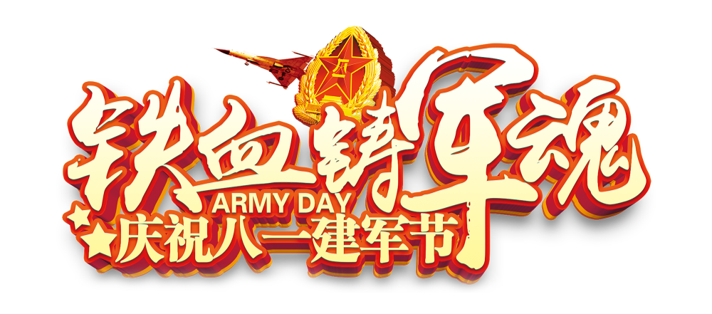 沈阳红星美凯龙世博家居有限公司党工团开展“军民共建鱼水情红星助力和谐城...