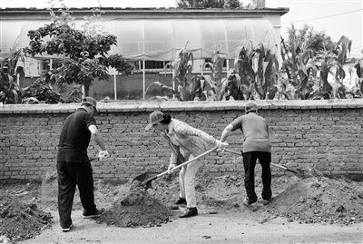 浑南创城志愿者开展美化家园活动