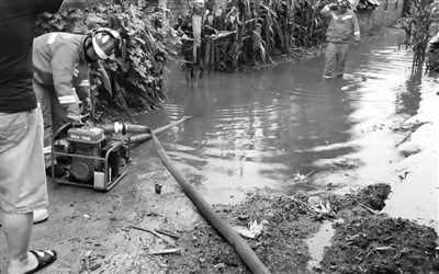 浑南区古城子乡贸易大厅附近村民居住区发生险情