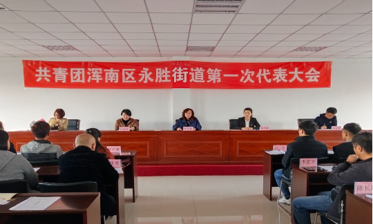 共青团浑南区永胜街道第一次代表大会胜利召开