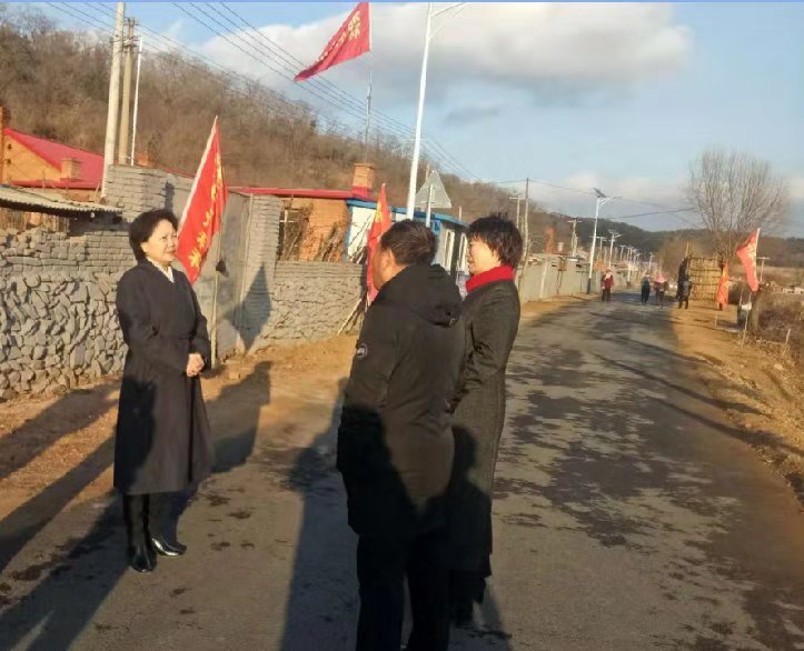 区领导到湾沟社区检查扫黑除恶工作