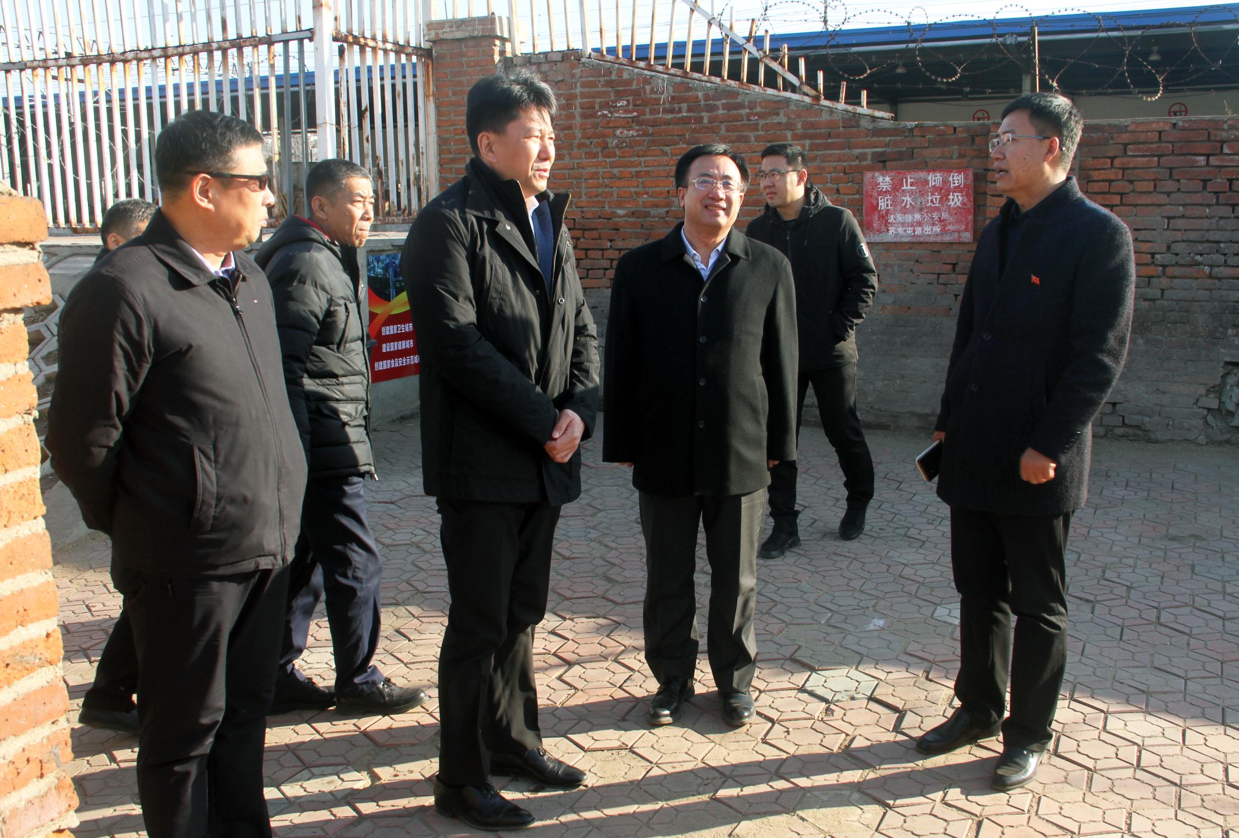 浑南区区长李军实地检查创卫工作