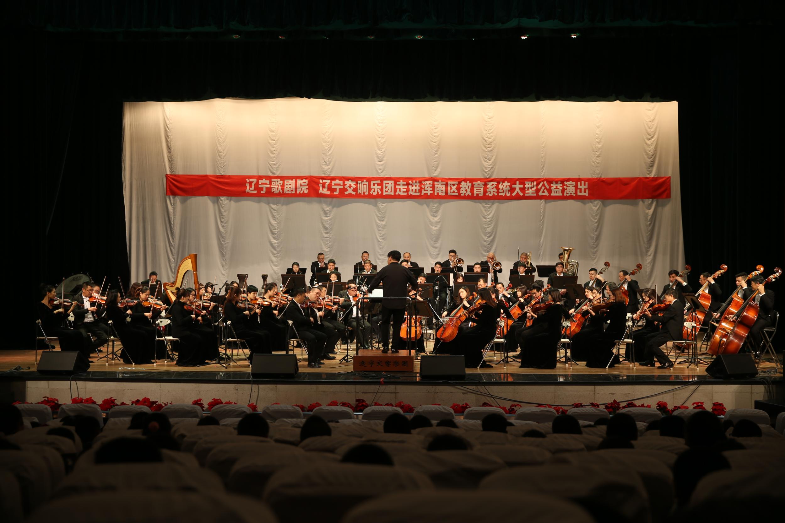 浑南区教育局大力推进“高雅艺术进校园”活动