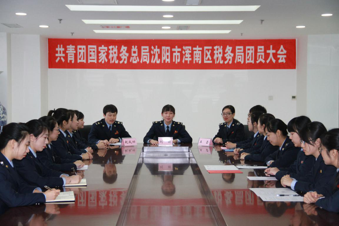 共青团沈阳市浑南区税务局召开团员大会选举产生新一届共青团委员会