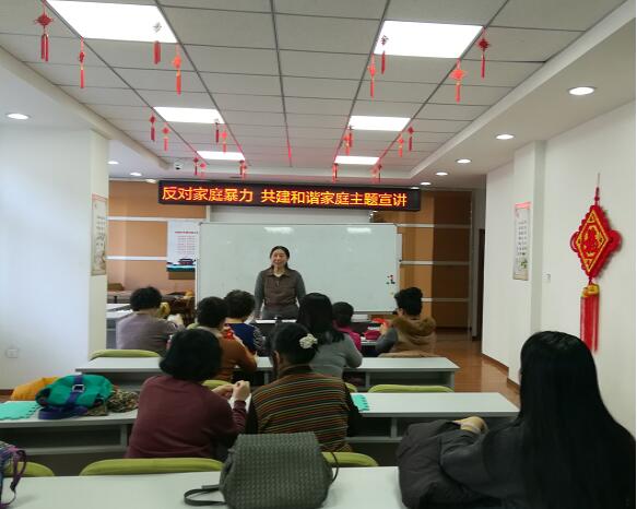 五三街道塞纳社区妇联开展“反对家庭暴力共建和谐家庭”主题宣讲活动