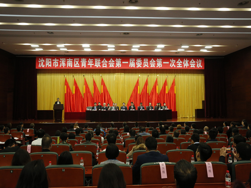 浑南区青年联合会第一届委员会第一次全体会议胜利召开