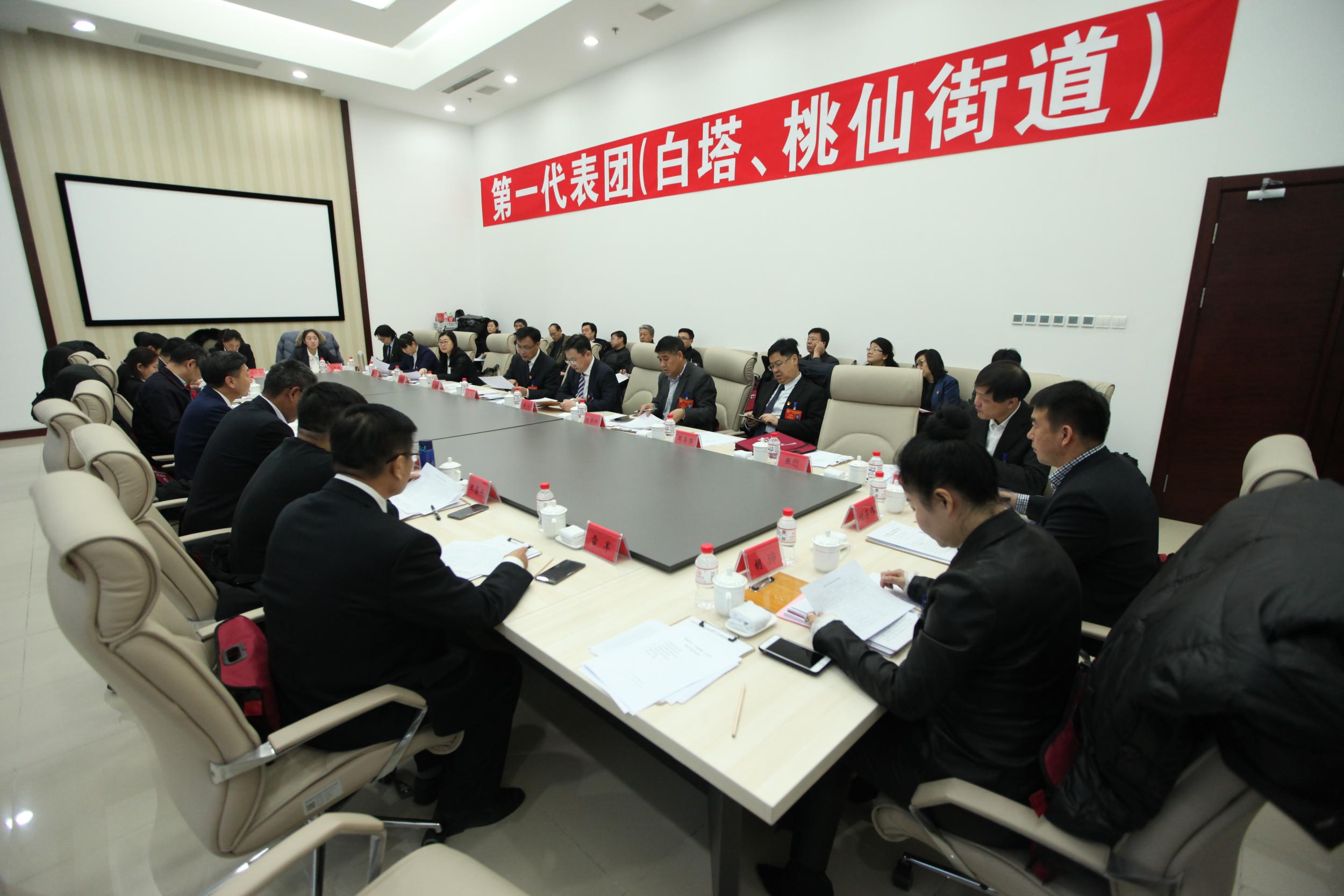 沈阳市浑南区第二届人民代表大会第二次会议进行分组讨论