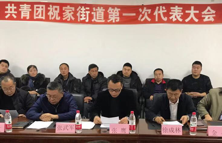 共青团沈阳市浑南区祝家街道第一次代表大会胜利召开