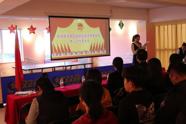 共青团沈阳市浑南区白塔街道第一次代表大会胜利召开