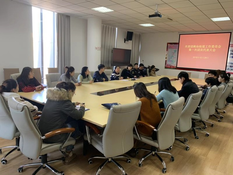 共青团沈阳市浑南区桃仙街道第一次代表大会胜利召开