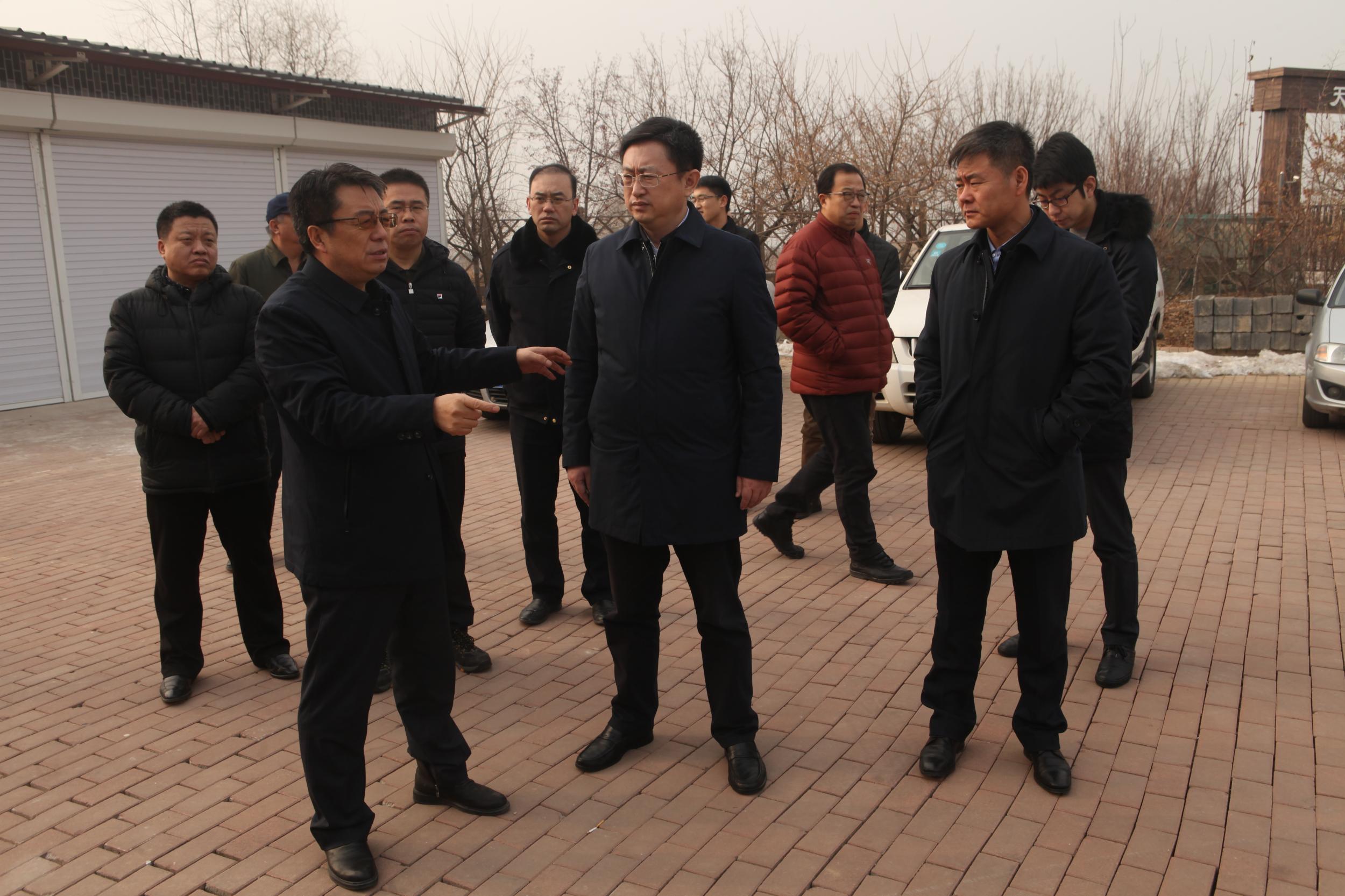 浑南区委书记单义检查大棚房问题专项清理整治行动落实情况