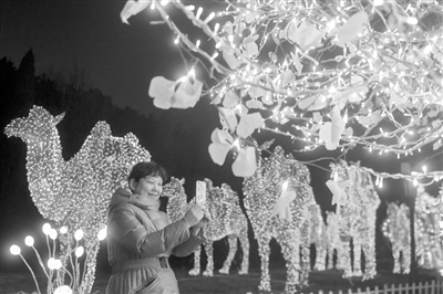 世博园——亮灯