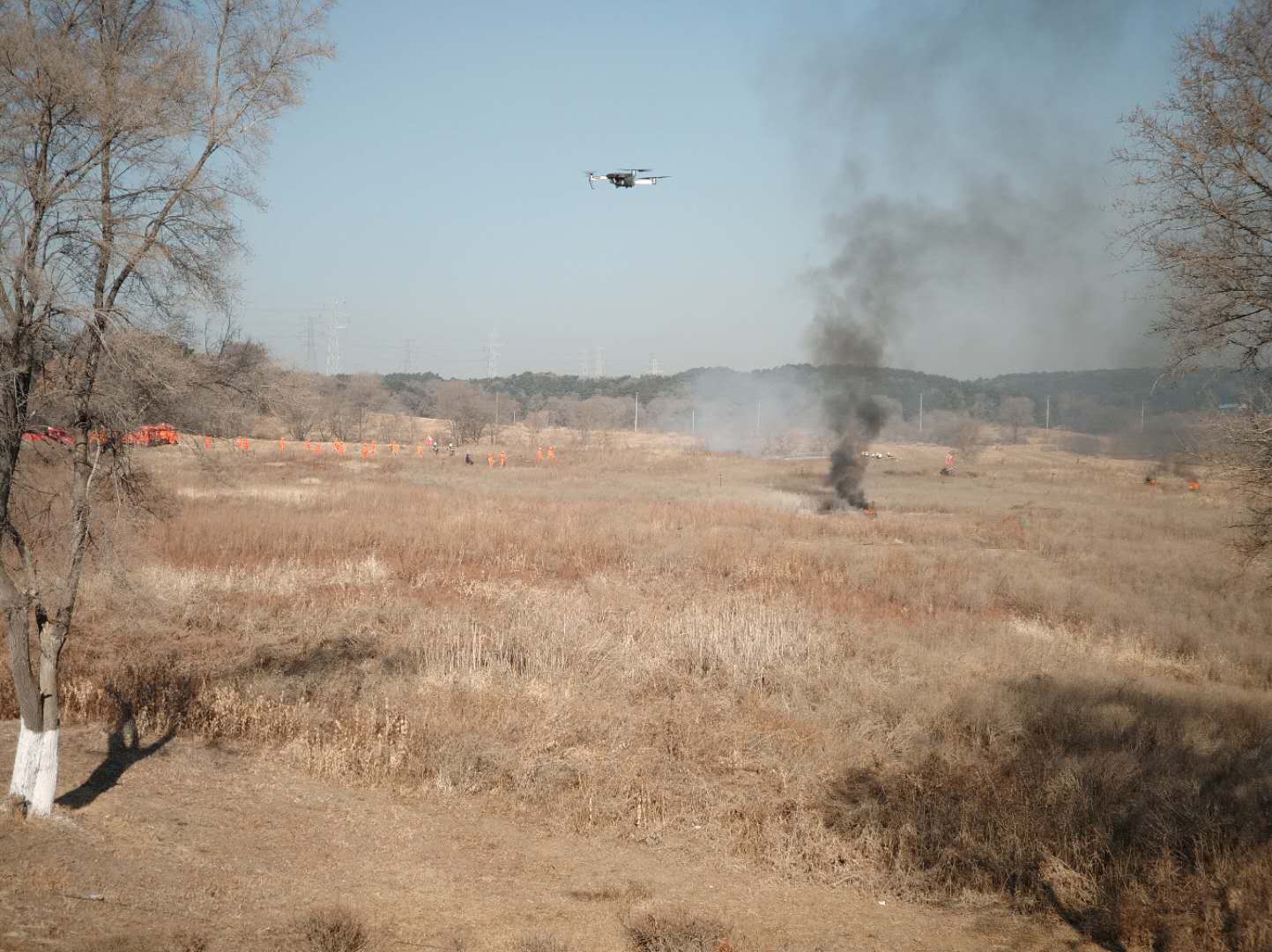 沈阳市应急管理系统开展森林火灾扑救演练