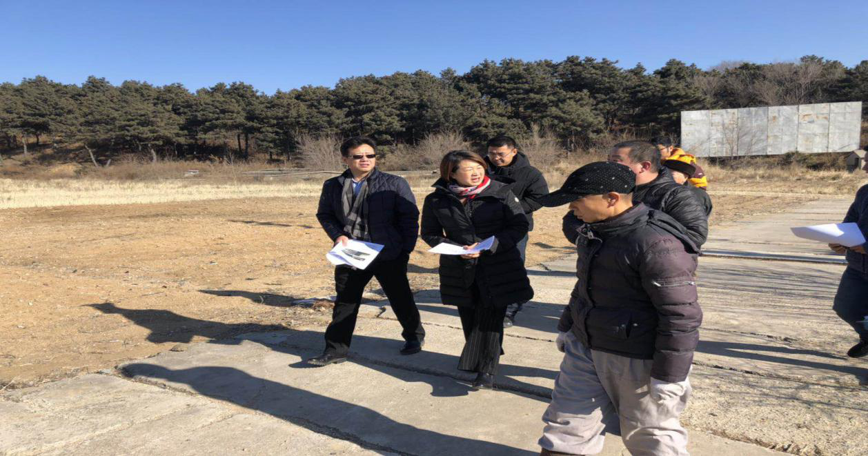 郑向东区长春节前走访基层考察大棚房情况