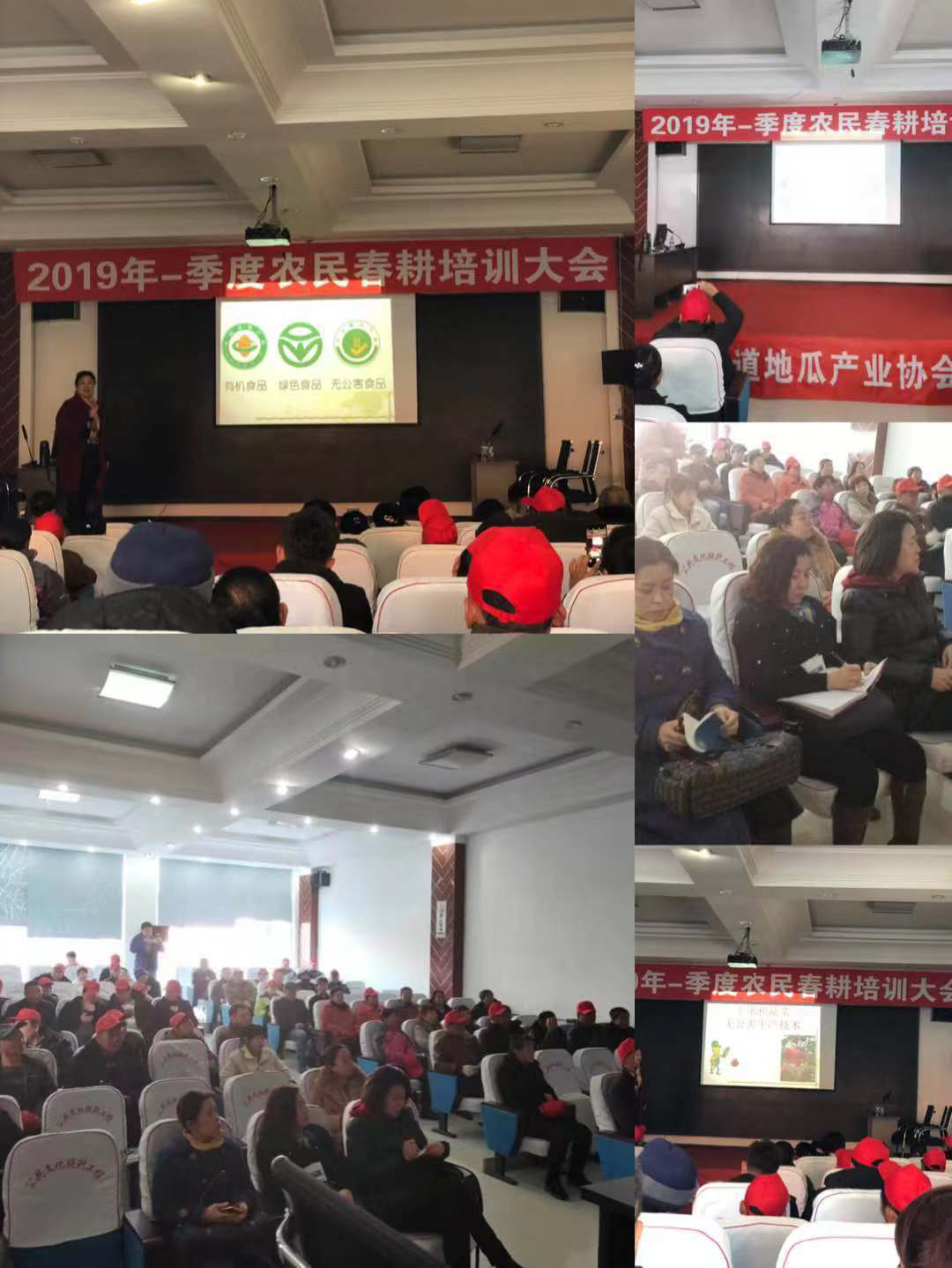 抓好春耕备耕培训助力农民脱贫增收——王滨街道组织2019年度一季度农民春耕...